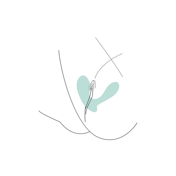 11090x2 Xocoon DuoVibe II Tapping Vibrator