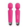 6071359x2 Dorcel Wanderful Wand Pink