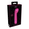 ROY007PNKx4 Royal Gems Bijou Rechargeable Silicone Bullet Pink