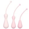 Inspire Weighted Silicone Kegel Training Kit