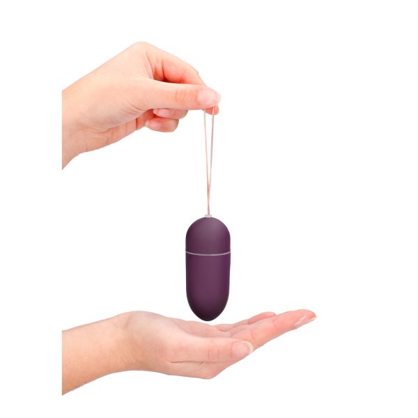 SHT025PURx2 10 Speed Remote Vibrating Egg BIG Purple