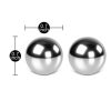 GQ001x4 Stainless Steel Duo Balls